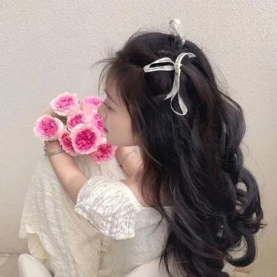 夹心沙展 海报