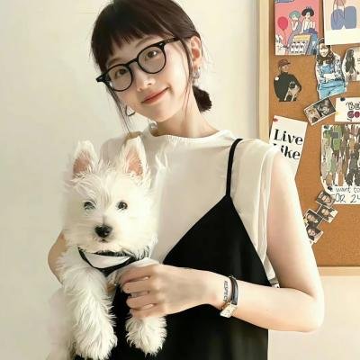 星与翼的悖论 海报